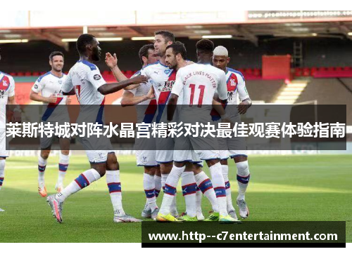 莱斯特城对阵水晶宫精彩对决最佳观赛体验指南