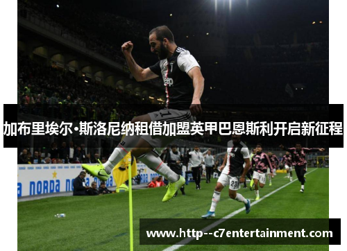 加布里埃尔·斯洛尼纳租借加盟英甲巴恩斯利开启新征程