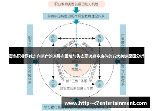 青岛职业足球走向消亡的深层次困境与失去顶级联赛席位的五大关键原因分析