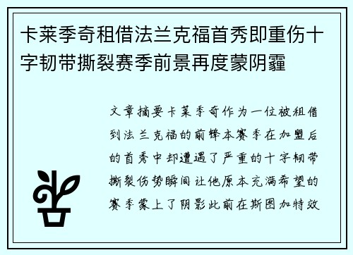 卡莱季奇租借法兰克福首秀即重伤十字韧带撕裂赛季前景再度蒙阴霾